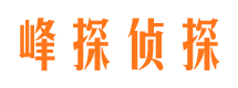 灵寿外遇调查取证